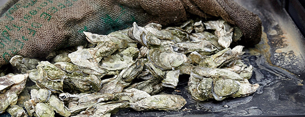 Set up an Oyster Table for your next Oyster Roast !